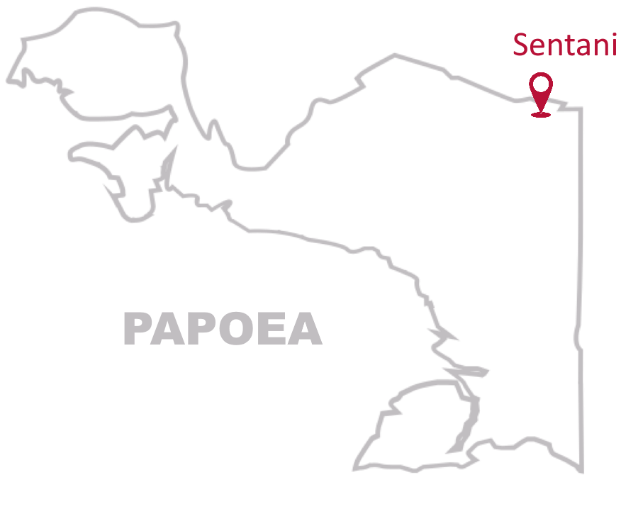 Familie Geense MAF Papoea sentani